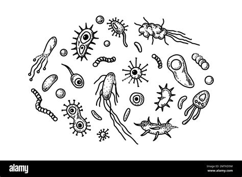 Set Of Hand Drawn Bacterias And Microorganisms Vector Illustration In