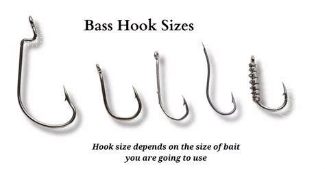 Bass Hooks Which Size Is Vital To Effect Bass Expert Guide 2023