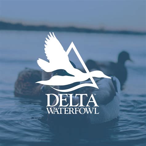 Delta Waterfowl Nashville Chapter | Nashville, TN | Waterfowl ...