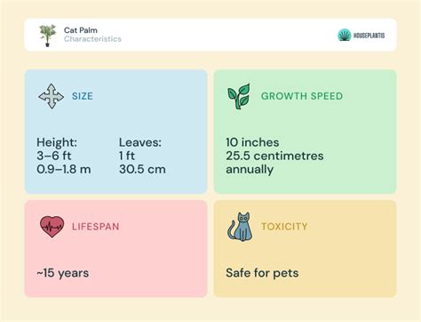 Cat Palm: Care, Propagation, Pruning, Water, Sun, Soil, Pot