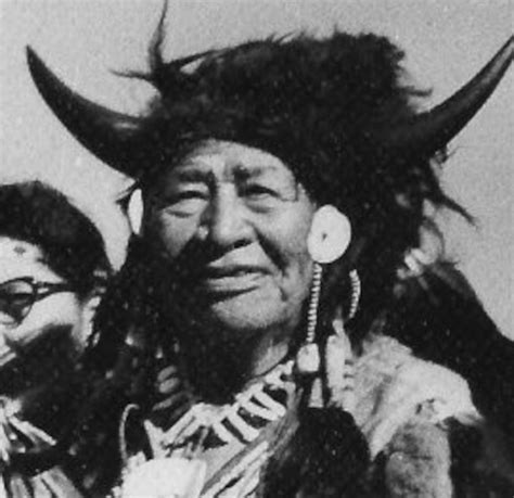 1962 Chief Walking Buffalo Respect And Protect Mother Earth Iofc