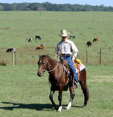 PURE FLORIDA: The Florida Cracker Cattle Auction