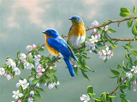 Spring Birds and Flowers Wallpaper - WallpaperSafari