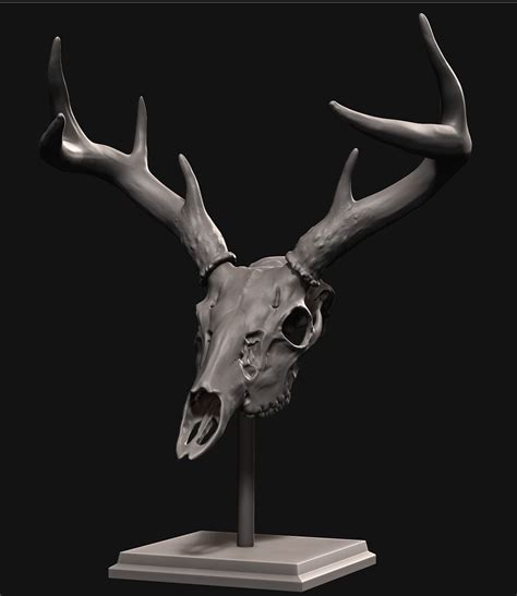 Artstation Deer Skull With Stand 3d Print Model Resources