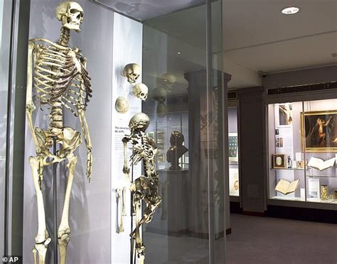 Skeleton of the 'Irish Giant' is removed from London museum ...