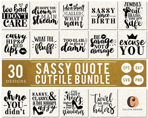 Sassy Quote Svg Cut File Bundle Deal Cut File For Cricut And Etsy