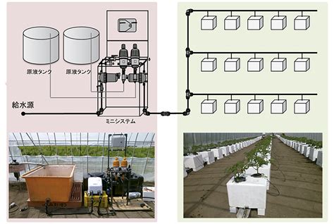隔離床養液栽培システム「うぃずone」による水稲育苗ハウスの有効活用と所得向上への取り組み アグリポートweb