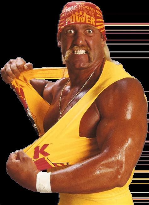 Hulk Hogan Bwwe Wiki Fandom