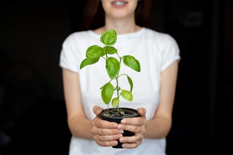 Una Ni A Con Una Camiseta Blanca Sostiene Una Maceta Con Una Planta De