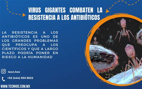 VIRUS GIGANTES COMBATEN LA RESISTENCIA A LOS ANTIBIOTICOS Tecnhos