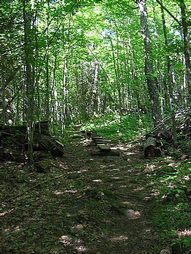 Hike the Greenstone Ridge Trail - Voyaguers National Park International ...