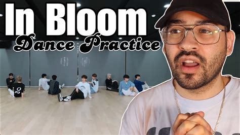 ZEROBASEONE 제로베이스원 In Bloom Dance Practice Fix ver REACTION