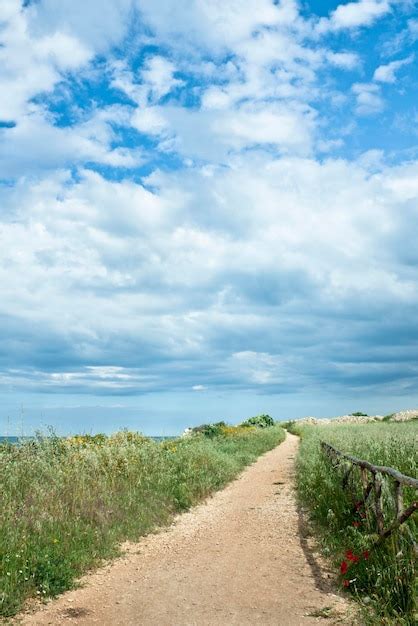 Camino vacío a lo largo del paisaje rural Foto Premium