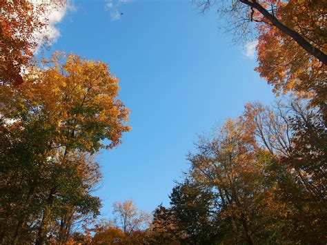 On Hiking and Happiness: World's End State Park