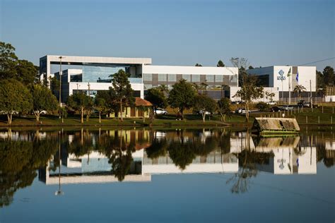 Hospital Do Rocio Nelson Kon