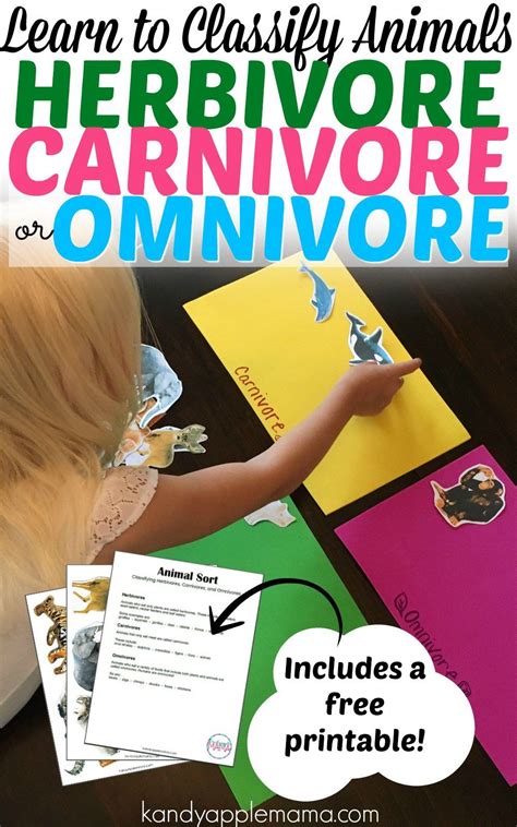 Learn To Classify Animals Herbivore Carnivore Or Omnivore