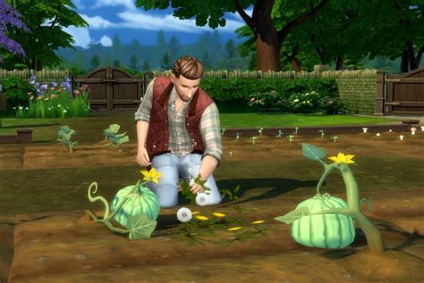 The Sims 4 Gardening skill and grafting combo guide | Polygon