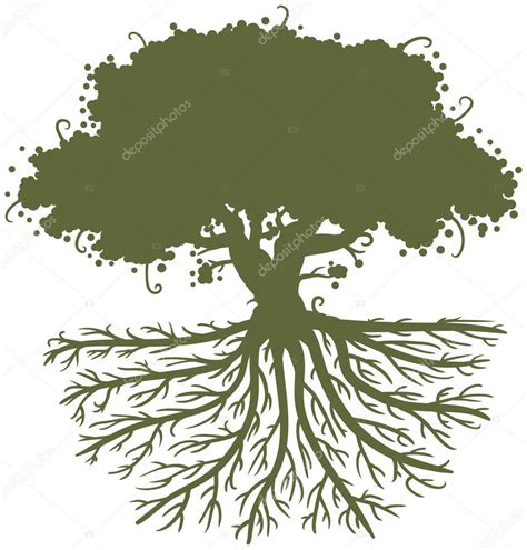 Old Tree Roots — Stock Vector © Zizar 14119063