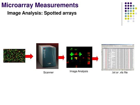 Ppt An Introduction To Dna Microarrays Rebecca Fry Phd Powerpoint Presentation Id3386818