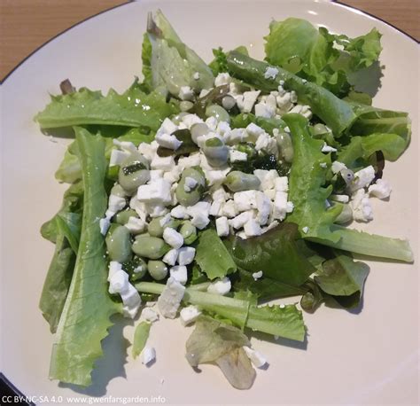 Broad Bean And Feta Salad Gwenfar S Garden And Other Musings