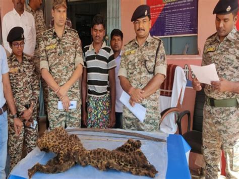 One Arrested With Leopard Skin In Chhattisgarh You Also Know Why The