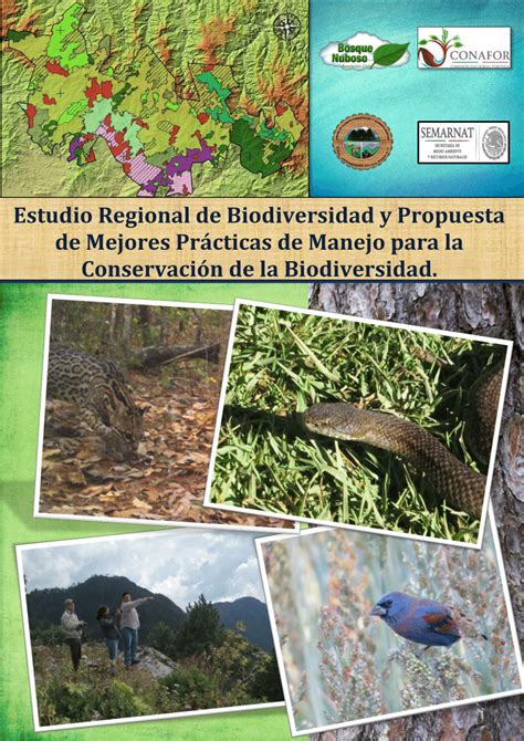 Pdf Estudio Regional De Biodiversidad Y Propuesta De Mejores