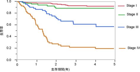 癌 ステージ4 生存率 胃がん Hello Doctor