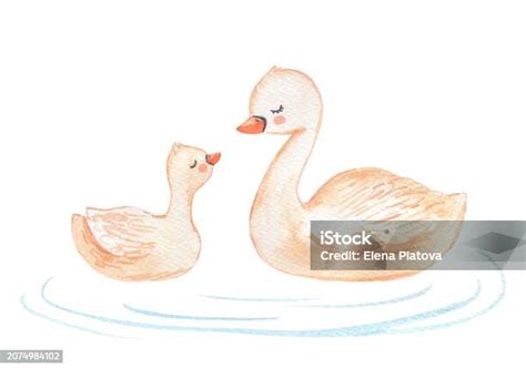 Watercolor Beige Cute Baby Swan And Mama Hand Drawn Cartoon