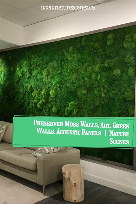 Preserved Moss Walls Art Green Walls Acoustic Panels Nature Scenes