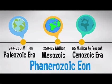 Phanerozoic Aeon: characteristics, life, geology, divisions - science - 2024