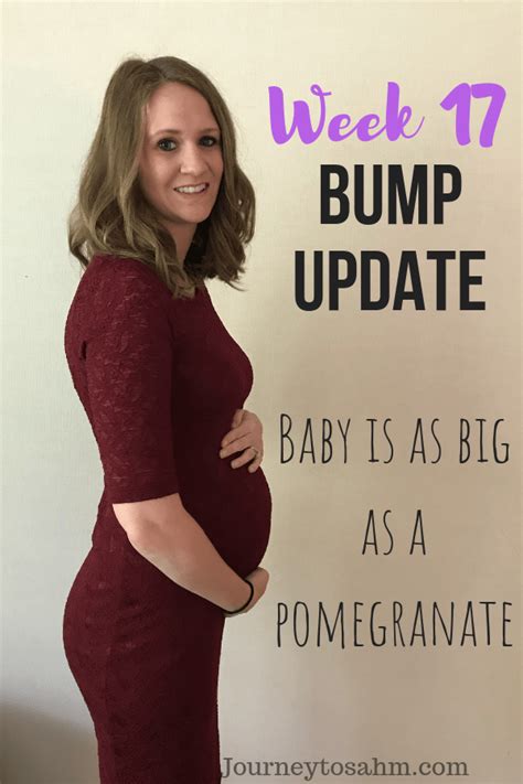 Gorgeous Pregnancy Bump Progression