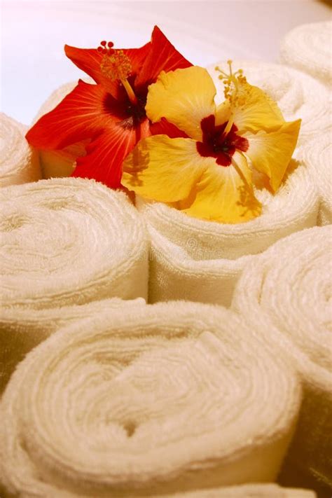 Spa towels stock photo. Image of residential, towels, home - 699220