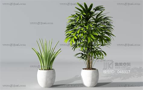 H75 0629植物盆景盆栽绿植花盆3d模型下载 【集简空间】「每日更新」