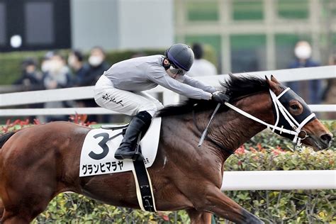 【新馬東京6r】11番人気の伏兵 グランヒマラヤがデビューv 競馬ニュースなら競馬のおはなし