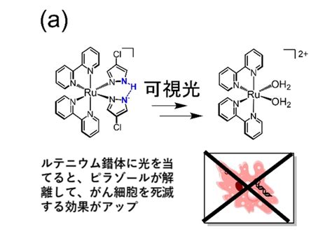 光を当てて がん細胞を狙い撃ち 低濃度で作用する抗がん剤ルテニウム錯体 大阪工業大学：マピオンニュース