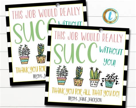 Succulent Pun Greeting Cards Plants Cactus Flowers Gift For Him Her