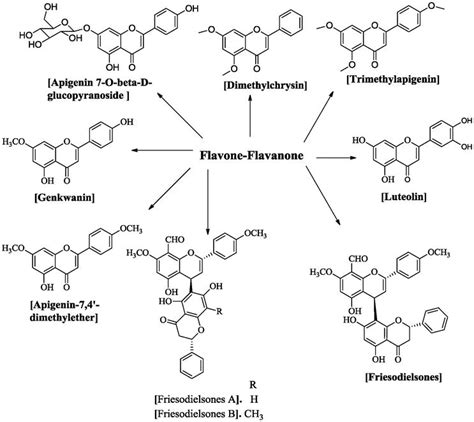 Biosynthesis Of Diverse Class Flavonoids Via Shikimate And