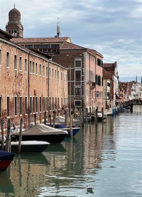 Cannaregio, Venice's Most Relaxing District - Lions in the Piazza