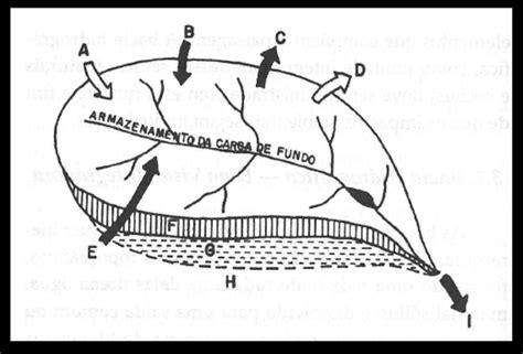 Desenho De Bacia Hidrográfica - Planilha De Diagrama De Bacia Hidrografica