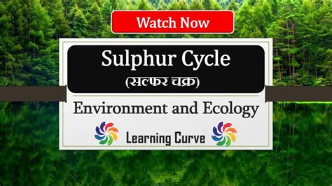 sulphur cycle in hindi सलफर चकर Biogeochemical cycles