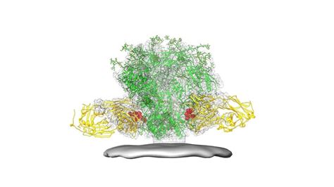 Science of Protein Denaturation by Heat - FoodTech Pathshala