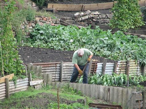 rake, gardening, garden, agriculture, work, tool, gardener, equipment ...