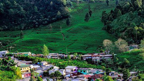 Destinasi Wisata Di Puncak Bogor Yang Menarik