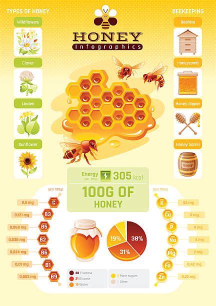 90+ Bee Hive Diagram Stock Illustrations, Royalty-Free Vector Graphics ...