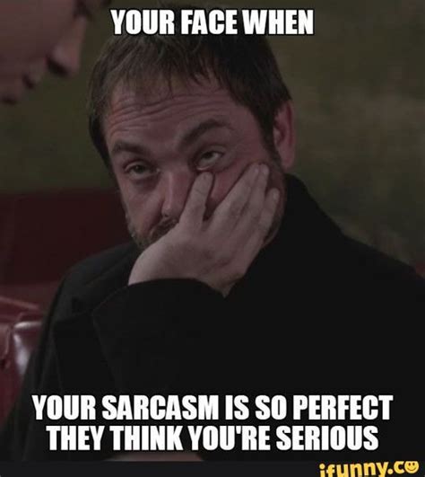 Next Level Sarcasm Your Face When Your Sarcasm Is So Perfect They