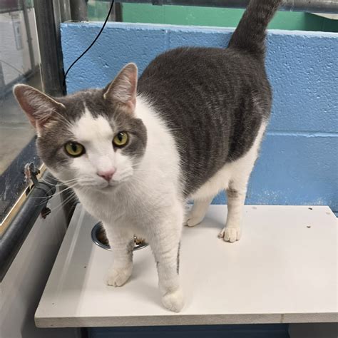 Crazy Critter Crick Farm and Sanctuary - This is hard to post but a