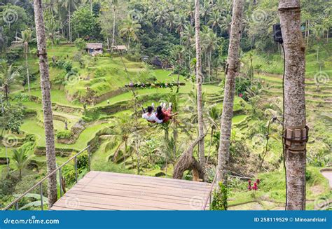 An Asian Couple Sitting On Swing Over Tegalalang Rice Terrace Is One Of The Famous Tourist