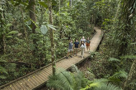 Jungle Tours Rainforest Adventures Our Top Destinations To