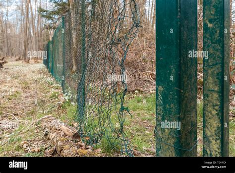 Broken Chain Link Fence High Resolution Stock Photography And Images