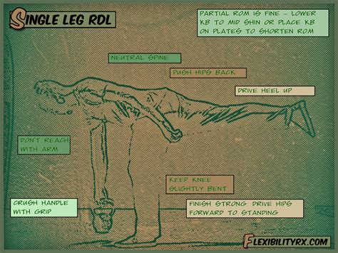 The Single Leg RDL | FlexibilityRx™ - Performance Based Flexibility ...